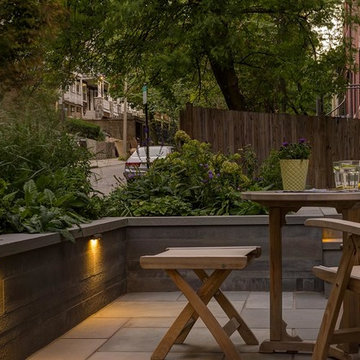 Brookline Modern Front Yard