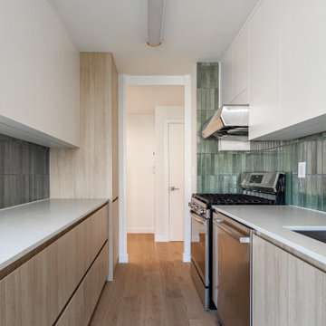 Full Apartment Renovation
