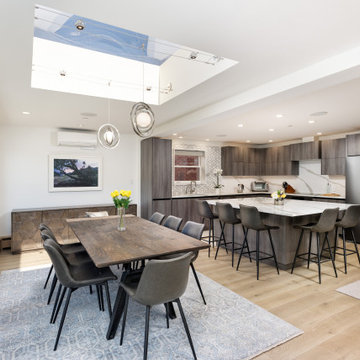 Downtown Aspen Modern - Remodel