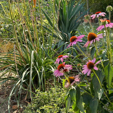 GIARDINO di design naturalistico