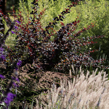 Purple Door Ranch