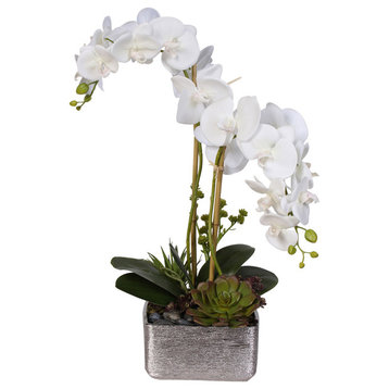 Real Touch White Phalaenopsis Orchid With Succulents in a Silver Ceramic Pot