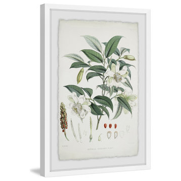 "As Sweet as Magnolia" Framed Painting Print, 24"x36"