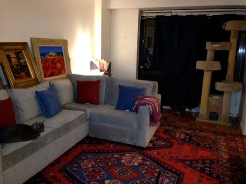 Rug Ideas To Go With My Light Grey Sofa, Red Rug Blue Couch
