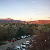 Callie McGinn's photo