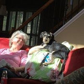 Lisa M's photo