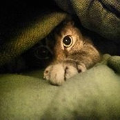 Holly Frantz's photo