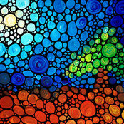 Mia Adams's photo