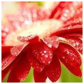 Kathy Hefner's photo