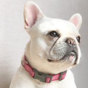 Justin Lilley's photo