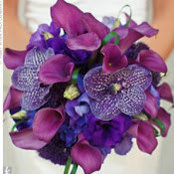 Evie Makarewicz's photo