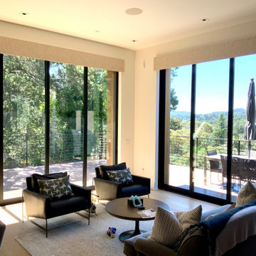 Top Treatment and Cornices