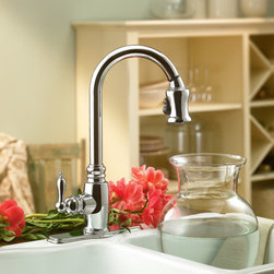 Danze Opulence Single Handle Pull-Down Kitchen Faucet - Kitchen Faucets