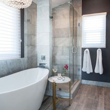 Master Bathroom Remodel