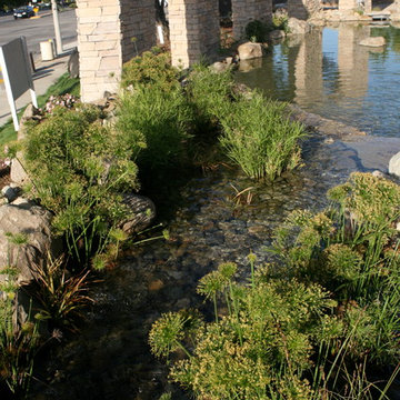 Large Scale Pond for Shopping Plaza Entrance