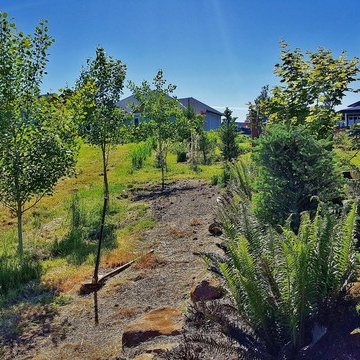 EDGECLIFF Prairie Home Genesis with Ecolawn