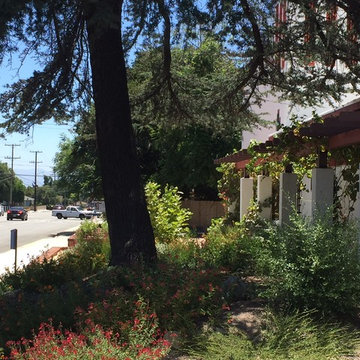 Christ Church_Avenue Garden