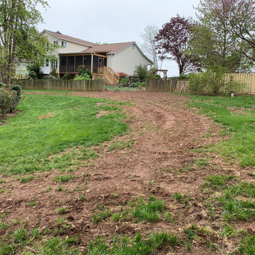 Lawn renovation