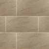 MSI NARI2448P Aria - 24" x 48" Rectangle Floor Tile - Polished - Bianco