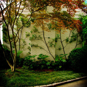 Williamsburg/ Woodland Estate