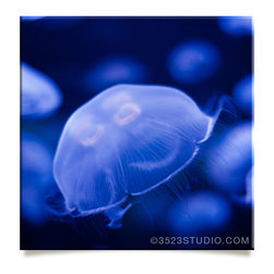 Jellyfish: Square Print - Prints And Posters