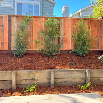 Backyard Transformation (Turf, Pavers, Shrubs, Fence)