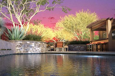 Example of a trendy pool design in Phoenix