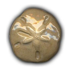 3" Large Sand Dollar - Tile