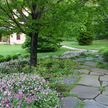 Backyard Exterior