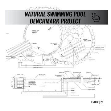 Natural Pool