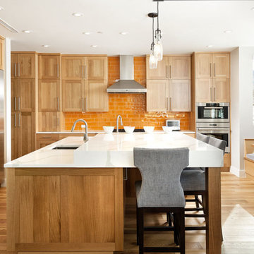 Aspen Transitional - New Construction
