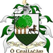 Chrissy O'Callaghan's photo