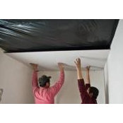Jack Sander's photo