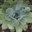Garden Concepts Professional Landscape Design