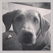Foto de Daniel Ryan