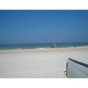 Don Harding's photo