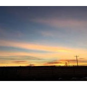 Roy Smith's photo
