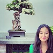 Fei Tang's photo