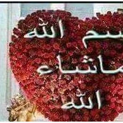 Zeinab Mansi's photo