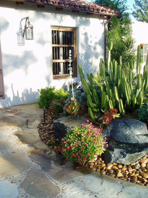 Succulent Garden Ideas, Pictures, Remodel and Decor