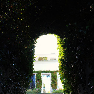 EL MIRTO