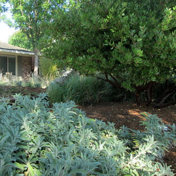 Gainer Garden