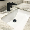 Miller Single Lever Contemporary Lavatory Bathroom Faucet with Overflow Drain, Matte Black