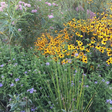 Native Plant Landscaping, Hardscaping, and Bioswales