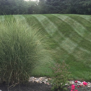 "Stars & Stripes" We LOVE Lawn Stripes!