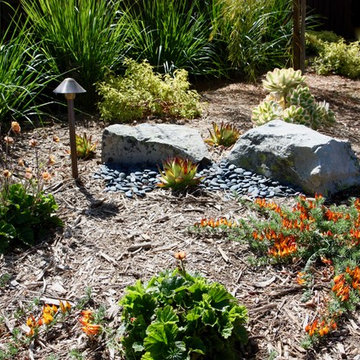 Planting Design