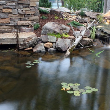 Lake Wylie NC backyard fish pond installation