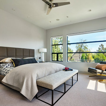 Contemporary Bedroom