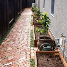 Side yard ideas