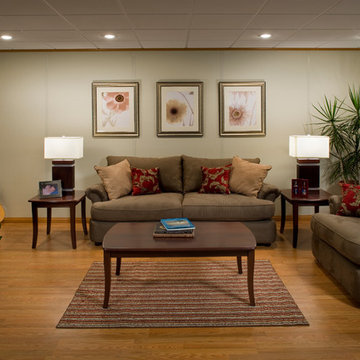 Basement Finishing Ideas